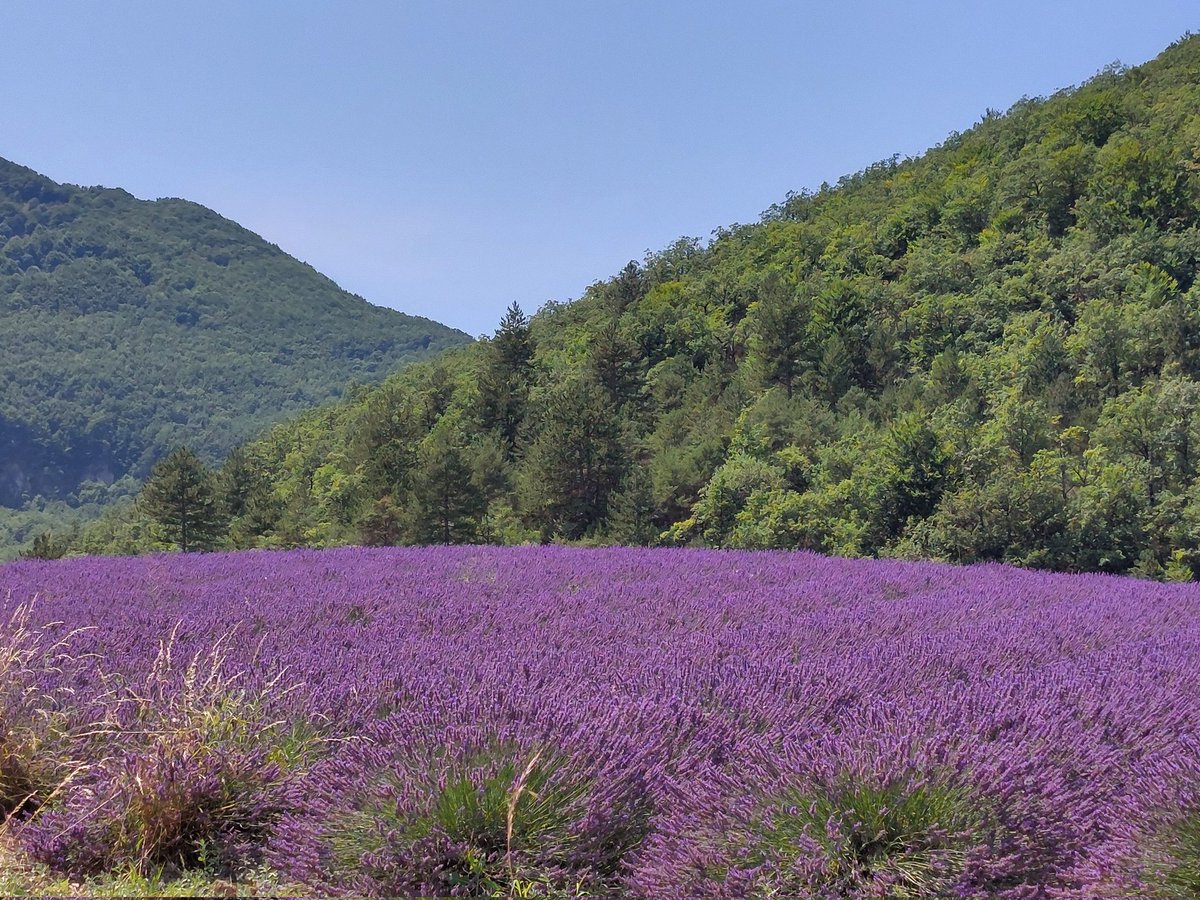 Mascha Kamphuis 🌈 tweet media