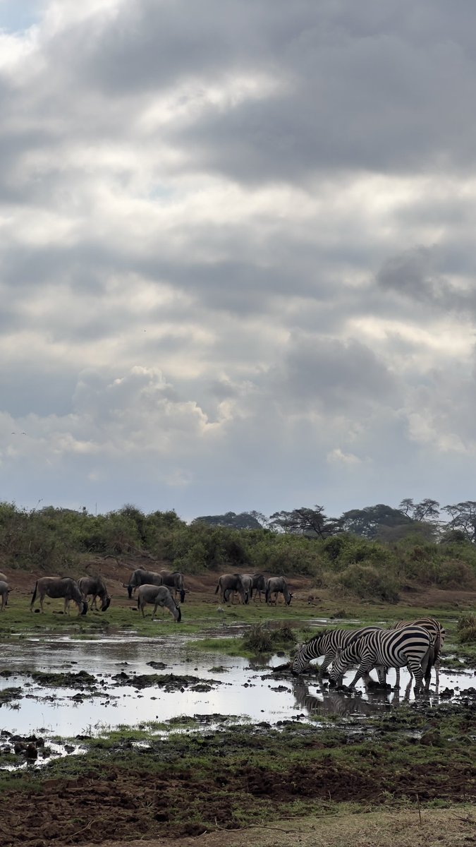 Explore East Africa in a more professional and well planned manner with our experts. Embark on an amazing luxury safari across Africa. 

Talk to us cheetahsafaris.com or Whatsapp us +254704274590