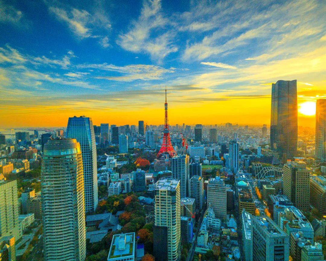 工事を始めた時は見頃だった紅葉が日に日に銀杏は落葉して赤く染まっていた木々も色褪せていきます、東京の秋も終盤になってきました😭#東京タワー #東京 #東京の秋 #晩秋 #夕景 #夕焼け #夕陽 #夕日 #高層マンション #高層ビル #港区 #虎ノ門 #都会 #街の風景 #紅葉 #東京の紅葉 #日没 #サンセット