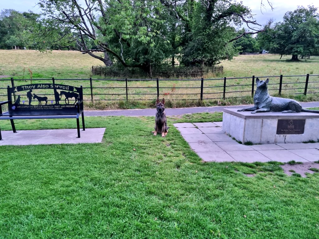 K9Scottish's tweet photo. A massive thank you to @MA_PurplePoppy for the donation of their charity bench 💜
#TPDFury thinks its a wonderful addition 🤩
#MemorialBench #CharitySupport #PollokPark #PurplePoppy https://t.co/Rvx5DTKDbU