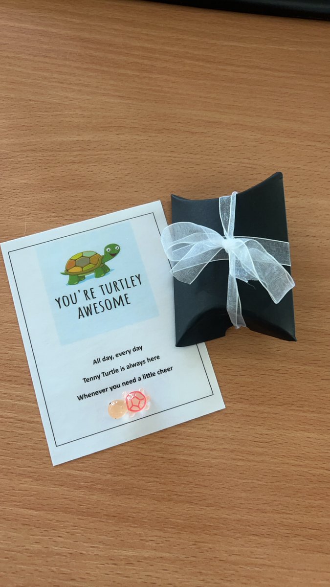 ExplainMR's tweet image. Happy #InternationalFriendshipDay! This morning, our team received a little reminder on the importance of friendship from Tenny Turtle!

#team #awareness #news