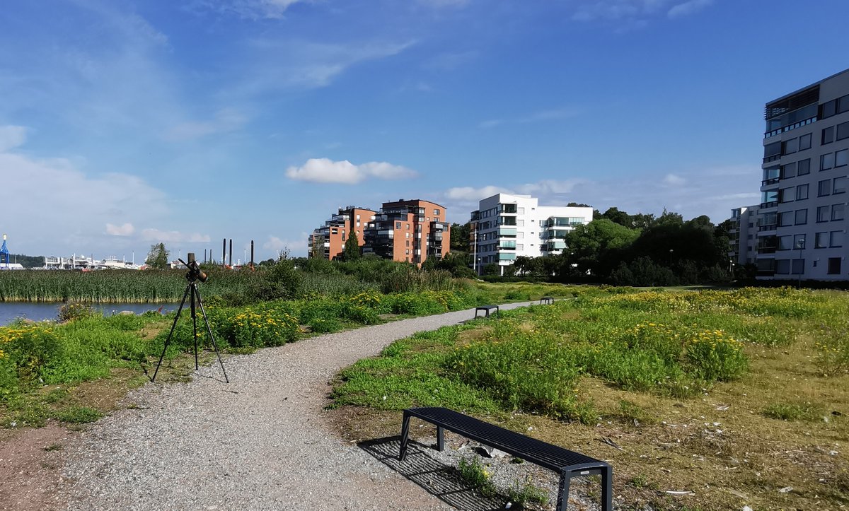 Päivi Sirkiä tweet media