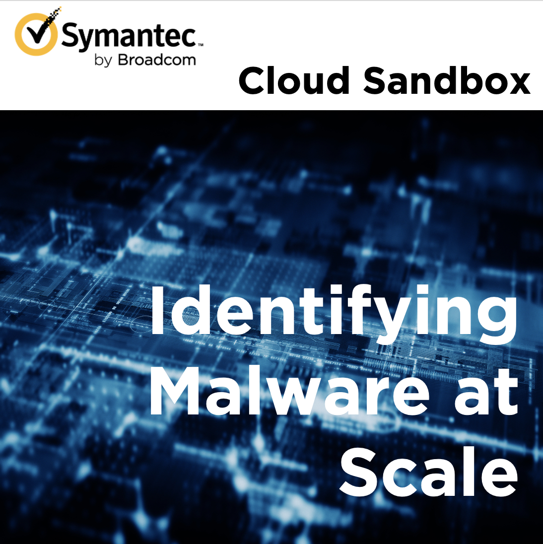 trilogy.com.sa

One technology detects malware, provides meta data or threat hunting and correlation capabilities -  Symantec Cloud Sandboxing.   
For more info trilogy.com.sa
#Trilogy #SYmantec