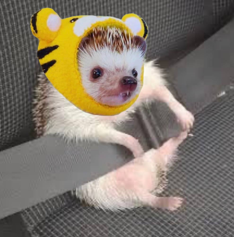 Strap in and hold onto your $HOGGER