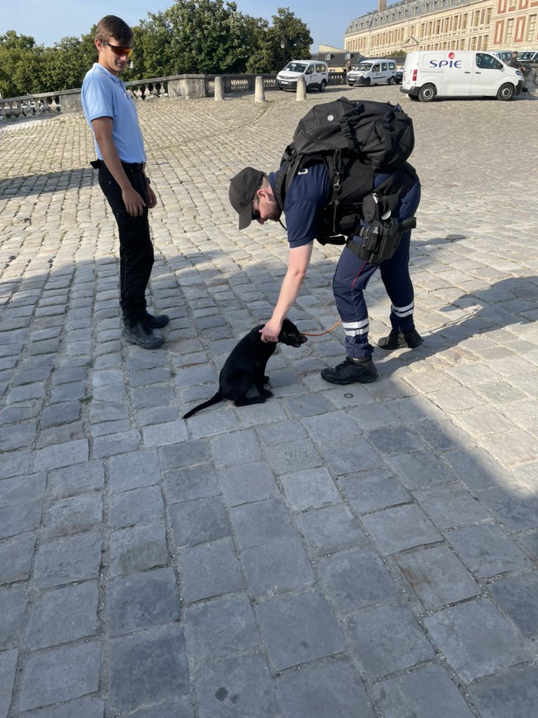 Hal Macy tweet media