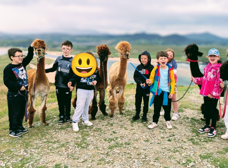Actn4ChildrenNI's tweet image. What did our team at #Waterside Family Centre say when they were offered an amazing opportunity for their summer scheme? Alpaca bag...! 🤭 Thank you to John from @alpaca_way for inviting 10 young people to experience this amazing walk on the wild side!