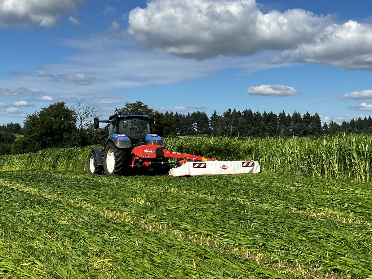 Certes la météo a été capricieuse pour la récolte des foins mais elle a été très favorable pour les repousses (3eme coupe à venir en prairie longue durée mélange suisse) et 1ere coupe de sorgho fourrager multi coupe.
De quoi assurer des stocks de bonne qualité