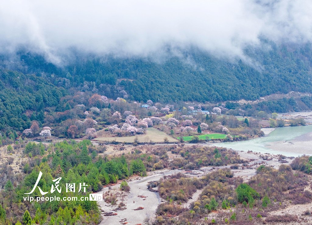 【西藏生態保護取得顯著效益 20年間生態格局變化率低於1%】中國科學院成都山地災害與環境研究所對2000年至2020年間西藏生態狀況變化進行評估顯示，西藏生態系統結構整體穩定，自然生態系統占比達到90%以上，生態格局變化率低於1%。科研團隊認為，目前西藏仍然是世界上生態環境質量最好的地區之一。