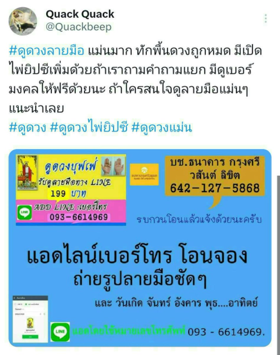 ดูดวงบุฟเฟ่ tweet media
