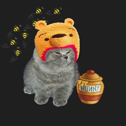 littlegraycat tweet media