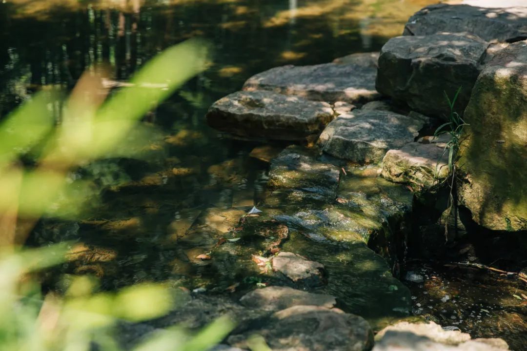 SND_China's tweet photo. Immerse yourself in the tranquil beauty of Shushan village in #Suzhou New District (#SND).🌳🏞️Let the tree-lined paths, soothing stream melodies, and cool air whisk you away from the city's hustle and bustle. Ready to escape the heat and unwind in this serene oasis?🍃#VisitSND #EcoSND