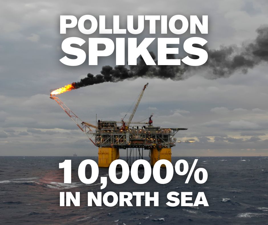 Uni_of_Essex's tweet image. North Sea fossil fuel can cause pollution to spike 10k%  

Researchers from @EssexLifeSci , @NHM_London and @CefasGovUK also found species fell by 30% near platforms.

@DrNatalieHicks 🔉 "These platforms are leaving a potentially concerning legacy."

essex.ac.uk/news/2024/07/3…