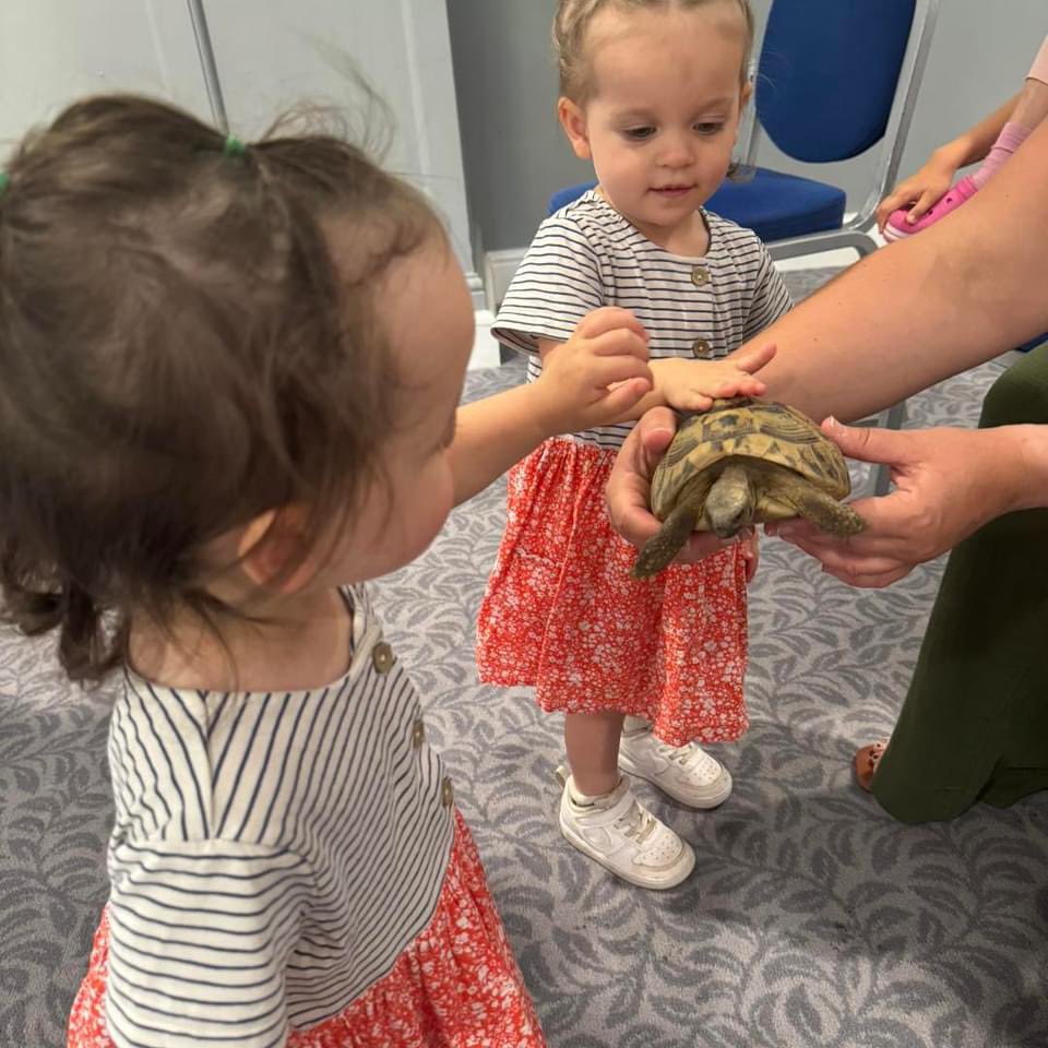 Another incredible encounter Quorn Grange Hotel 🏨 

All of the animals are now settled into there enclosures for a break before the next encounter Delish Syston 🍰☕️

Spaces filling up quick, book now to avoid disappointment ✔️✅⏳

#reptiles