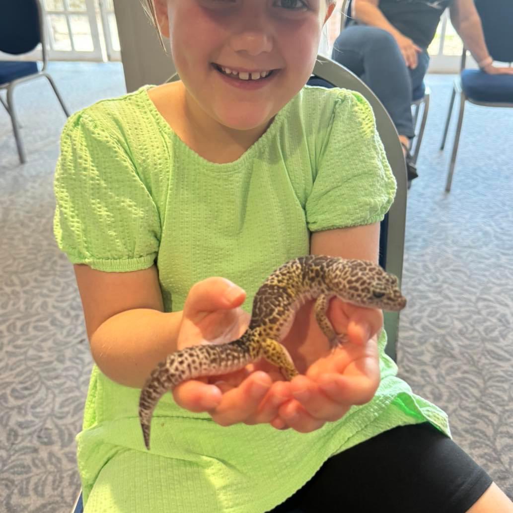 RiverviewReps's tweet photo. Another incredible encounter Quorn Grange Hotel 🏨 

All of the animals are now settled into there enclosures for a break before the next encounter Delish Syston 🍰☕️

Spaces filling up quick, book now to avoid disappointment ✔️✅⏳

#reptiles https://t.co/YLvWISW6PQ