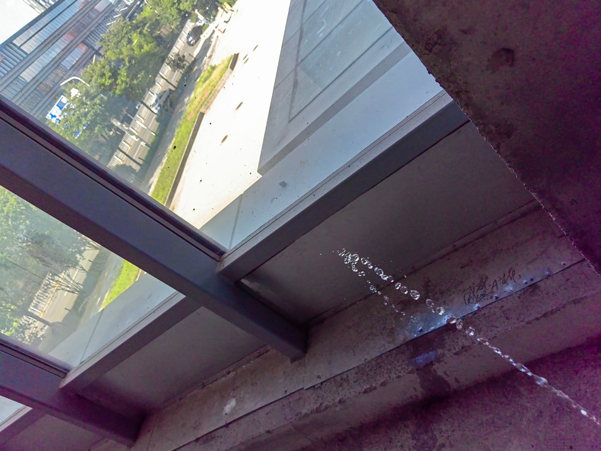 发现一个可以野裸的办公楼