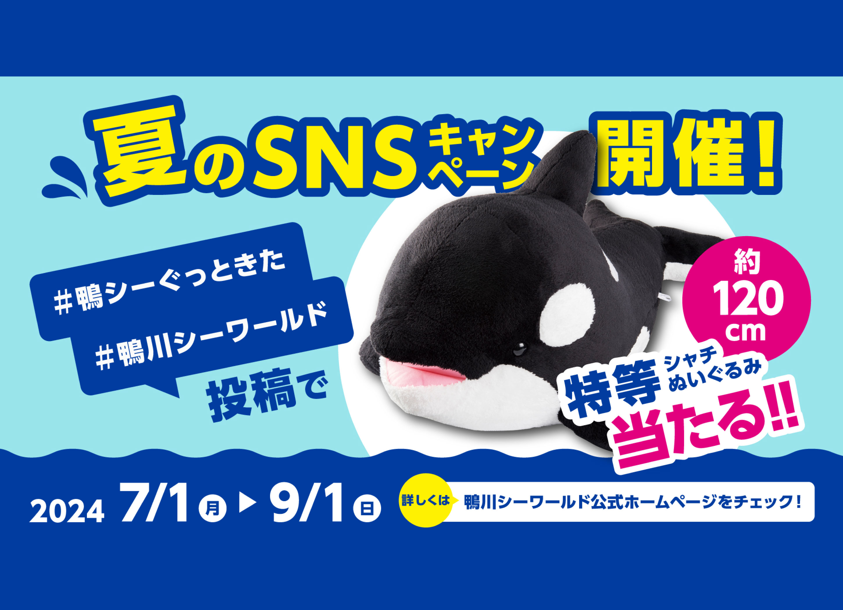 鴨川シーワールド【公式】 on X: 