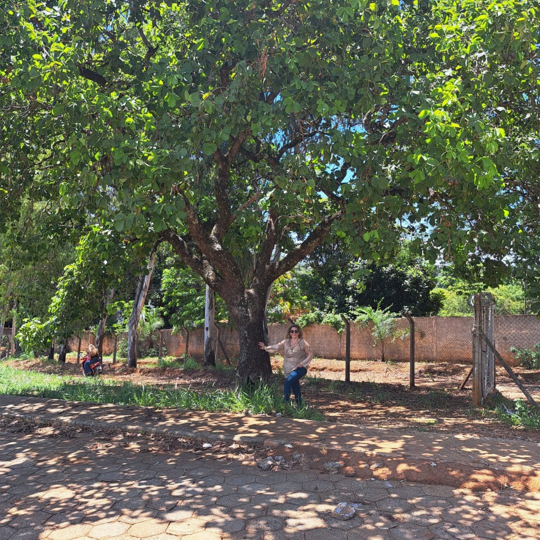 CEF - Centro de Estudos Florestais tweet media