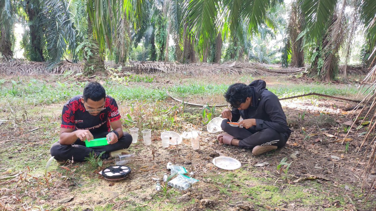 mistaaimanvevo's tweet image. They worked hard and did well. Ok lah kita bagi reward sekali sekala 👍🏾👍🏾 #TeamResearcher #FutureForester #WithKnowledgeWeServe