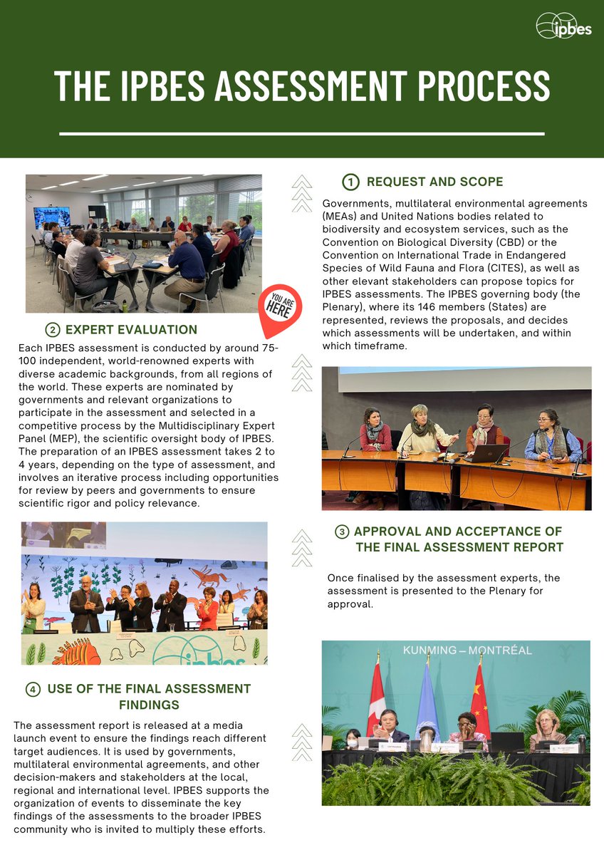 🔍You want to contribute to the <a href="/IPBES/">ipbes</a> Business &amp; Biodiversity Assessment but don’t know how the process works?

Find the answer in this infographic!

Participate in the ONLY External Review:

ipbes.net/business-impac…

📆What is the deadline? 17 Sept to make your valuable inputs
