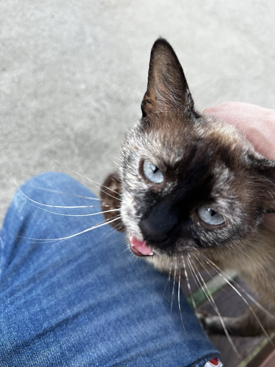 Bueno visita al médico ✅
Ahora a currar que que al medio día me toca psicólogo.
Y por compartir un poco, una de las cosas que más feliz me hace de vivir donde estoy ahora es cuidar a esta cosita