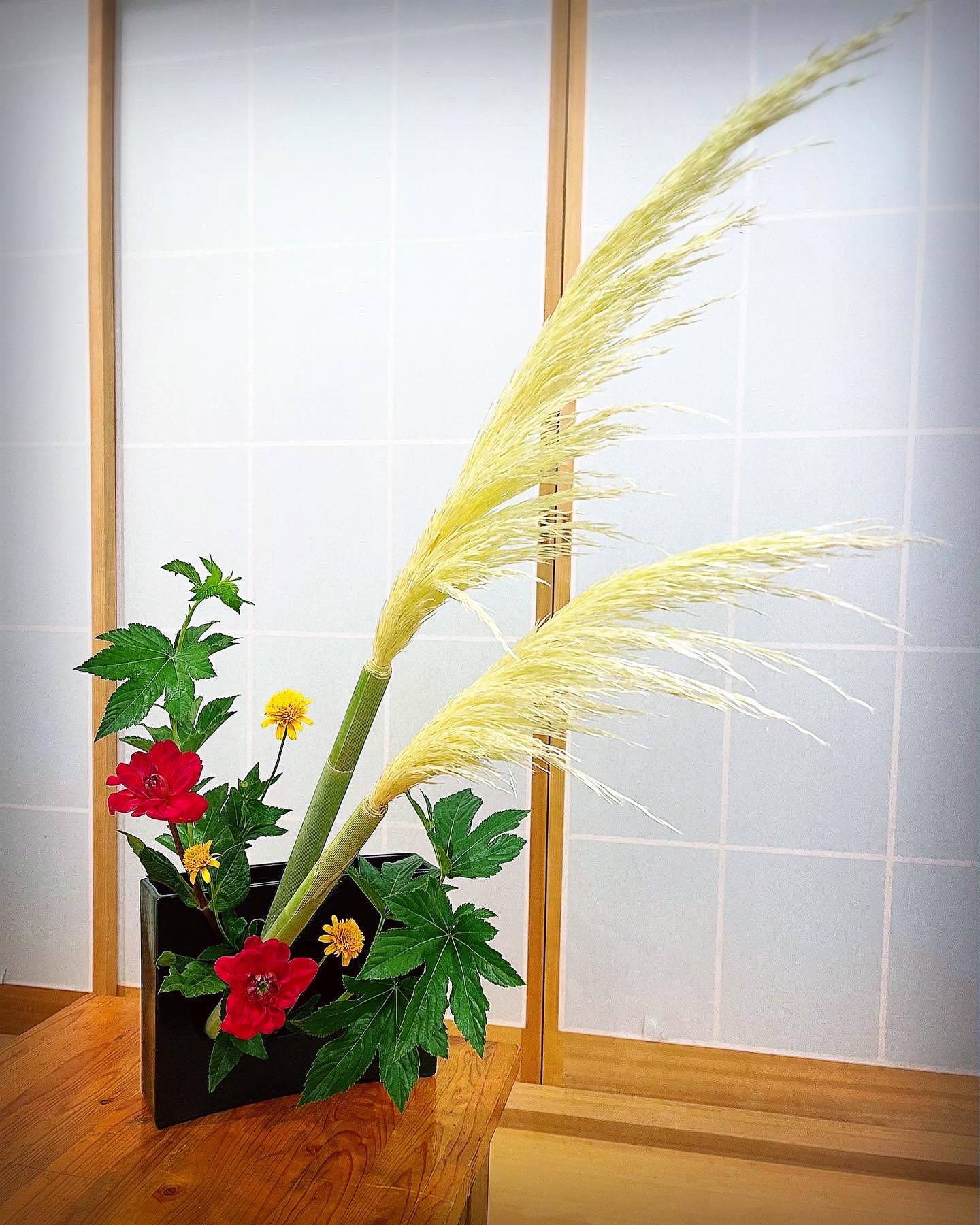 ☆池坊生け花☆月刊誌「華道」2016～2019年完全揃/全48冊