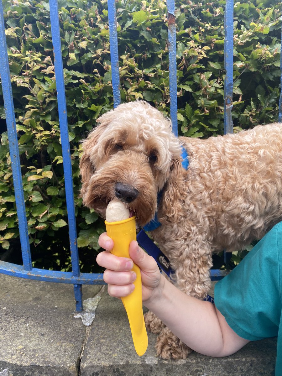 Ellie Pearson tweet media