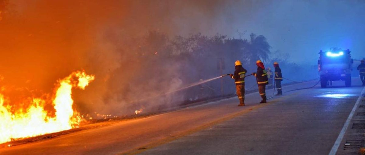 luisanayars's tweet image. Es angustiante cómo se han descontrolado los incendios en #SantaCruz, cada año es peor. Nuestros bomberos están luchando por sofocar las llamas en #Roboré, sin embargo, la situación es crítica y se necesita urgentemente más apoyo para combatir el fuego y proteger a la población y…