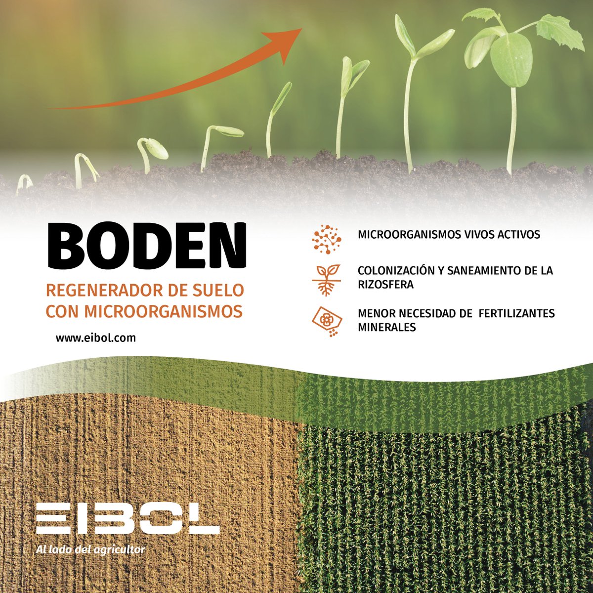 EIBOLiberica's tweet photo. BODEN, el bioregenerador que aporta al suelo microorganismos beneficiosos vivos y activos.
 
Más información 👉 https://t.co/UXMbAQuz52 
 
#EIBOL #bioregenerador #microorganismos #agricultura https://t.co/GYlsQ8LnIY