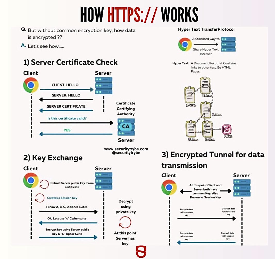 SecurityTrybe's tweet photo. How HTTPS works https://t.co/ziQqtj7oW9