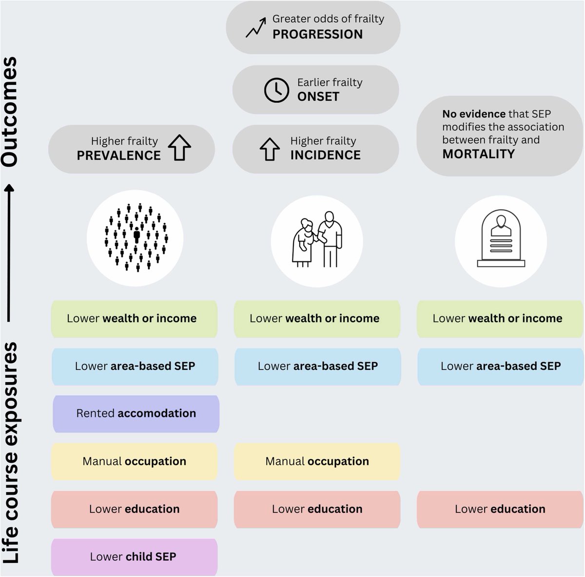 Pleased to share our new paper on the association between socioeconomic position and frailty.

People with lower socioeconomic position had:
 - Higher prevalence of frailty
 - Earlier onset of frailty
 - Greater frailty progression

Open access: doi.org/10.1016/j.arr.…

🧵👇