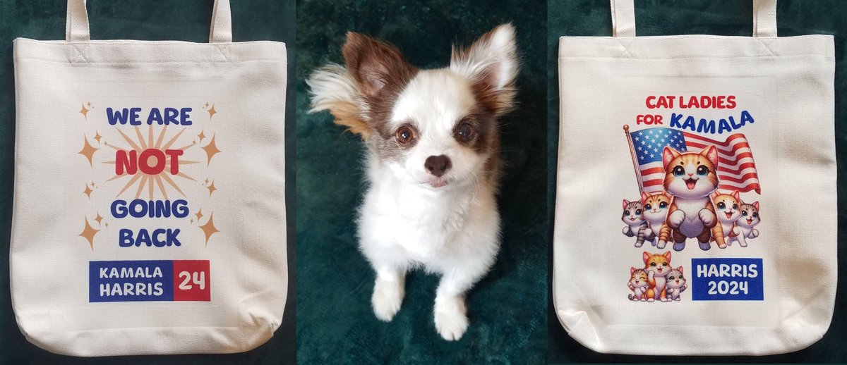 We wuv everypawdy ♥️ but Mama says yoo gotta stand up for what yoo believe in.
Mama jus added these 🛒 ArtfulBoo.com !
Pick one up &amp; show yoo support #Kamala2024 !🎉
RETWEET🙏♥️🐶
#CatLadiesForKamala #CatsOfTwitter #Hedgewatch #VoteBlue #ZSHQ #ImWithHer #dogsoftwitter