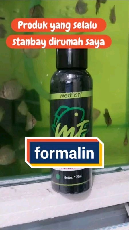 threadsaja's tweet image. Anti jamur #medfish #kkp id.shp.ee/g7fk5wc?smtt=0…