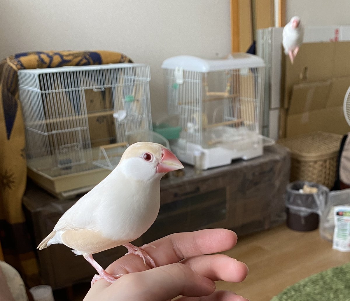 おわかりいただけるだろうか