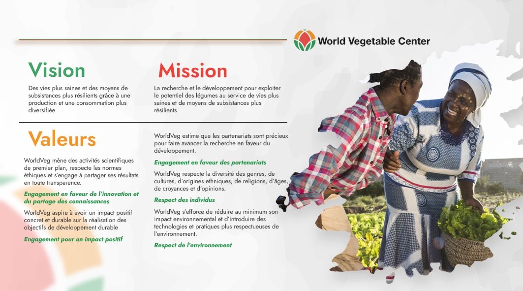 WorldVeg (West and Central Africa) tweet media