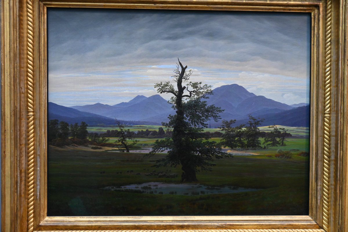 NiccoloTribolo's tweet photo. #CasparDavidFriedrich wird zur Zeit auch in der #AltenNationalgalerie ausgestellt.
Man kann hier auch seine #Eichen bewundern und auch, dass es häufig die gleichen #Bäume sind.
@mathilebrandts @TiCLme @Ale21031979 @TheKentAcorn
https://t.co/B0z3KcS33A https://t.co/i75tAo5bMf
