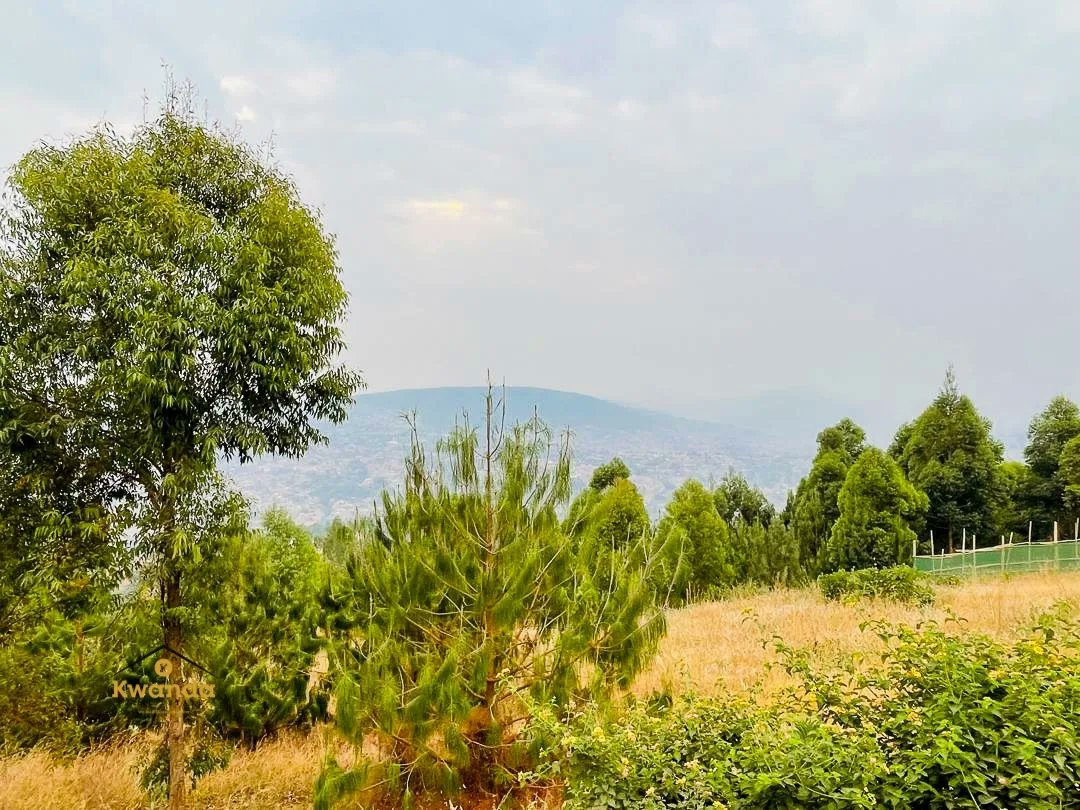 KwandaEstates's tweet image. A prime 930-square-meter at the top of the hill in Rebero offering breath-taking city views and a predominantly green surrounding.

#ReberoProperty #PrimeLocation
#ResidentialPlot
#KigaliLiving
#VisitRwanda
#RwandaUpdates
#Kwandaestates