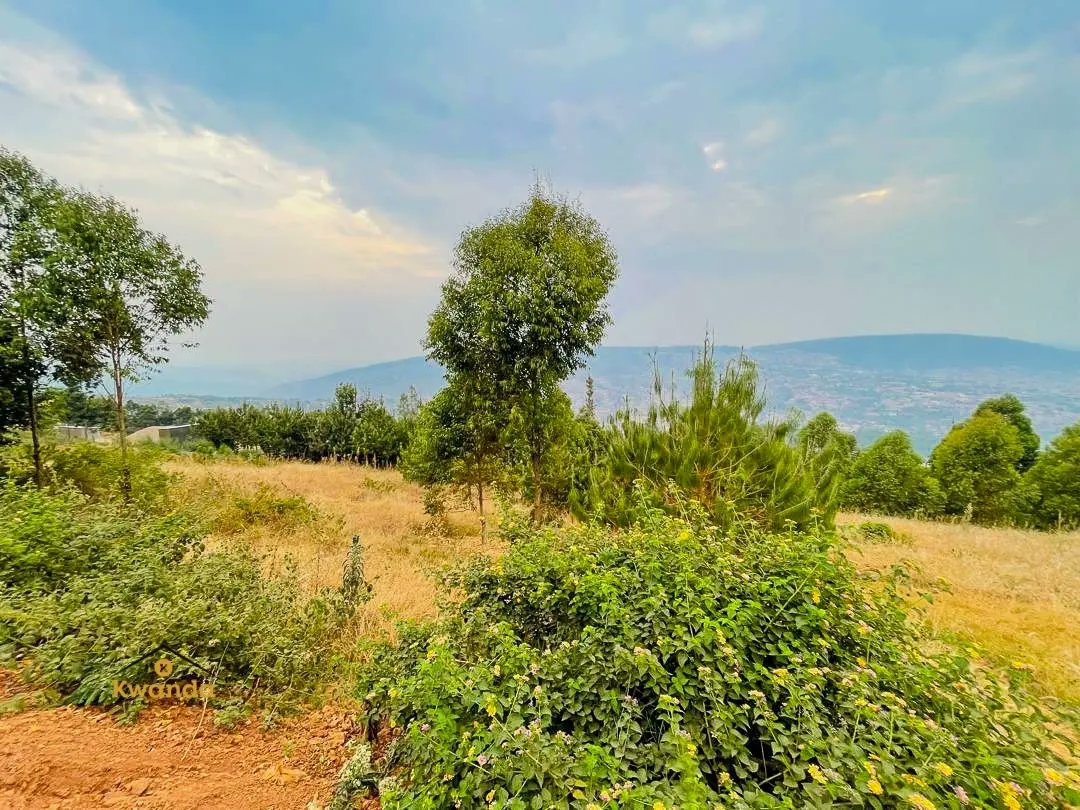KwandaEstates's tweet image. A prime 930-square-meter at the top of the hill in Rebero offering breath-taking city views and a predominantly green surrounding.

#ReberoProperty #PrimeLocation
#ResidentialPlot
#KigaliLiving
#VisitRwanda
#RwandaUpdates
#Kwandaestates