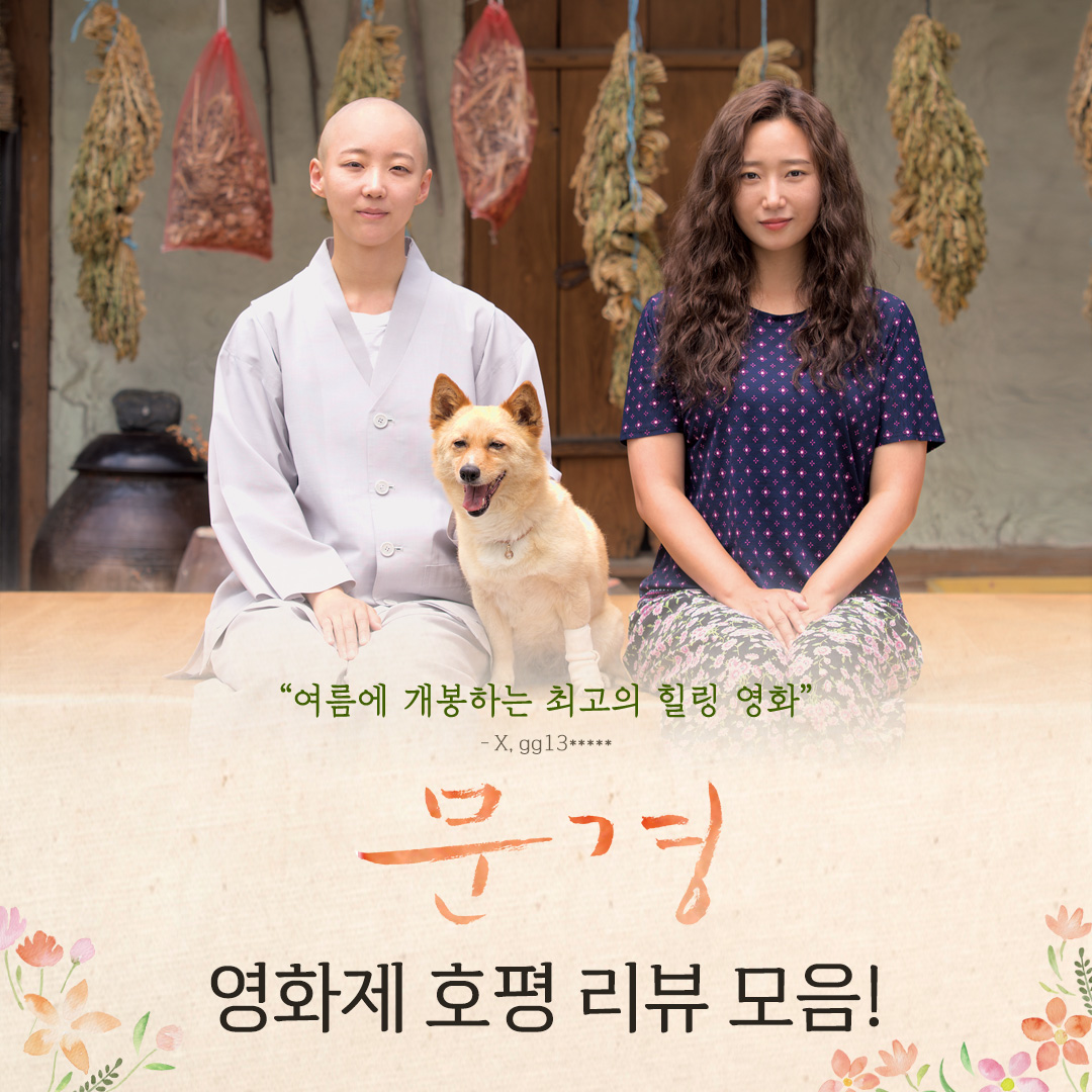 "스크린 속 녹음과 햇살에 파묻힐 수 있는 영화" 웃음, 위로, 감동 다 있는 영화<문경> 기대감 UP! 미리 본 관객들의 리뷰 모음🍃 #문경 #영화문경...