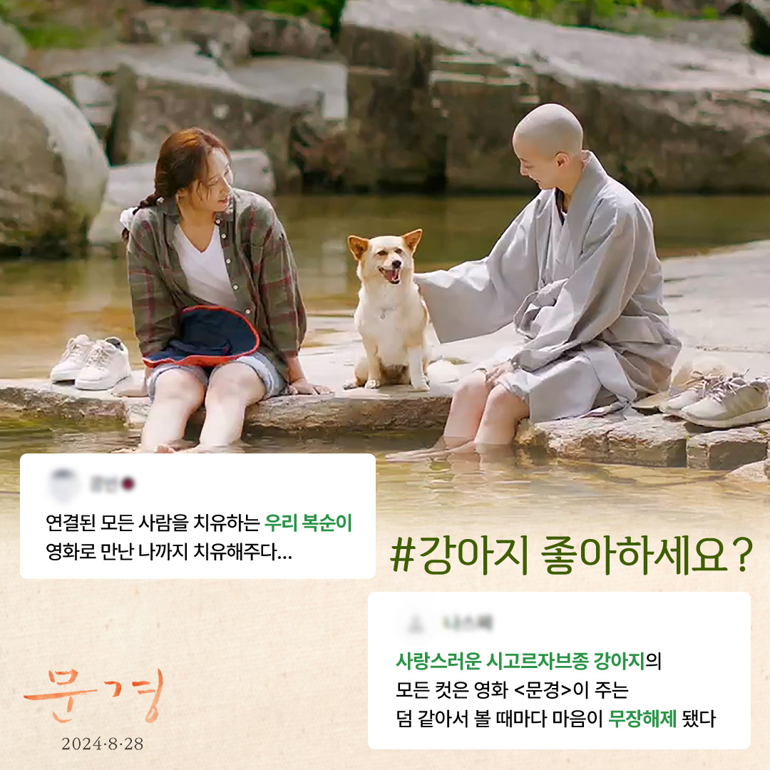 "스크린 속 녹음과 햇살에 파묻힐 수 있는 영화" 웃음, 위로, 감동 다 있는 영화<문경> 기대감 UP! 미리 본 관객들의 리뷰 모음🍃 #문경 #영화문경...