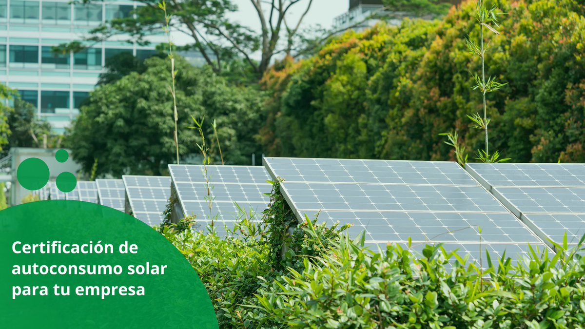 Promueve y certifica el uso de energía renovable en tu empresa. 💚

Integra criterios de sostenibilidad en tu estrategia y diferénciate frente a la competencia.

ecoquality.es

#CambioClimático #EnergíaRenovable #EnergíaSolar #FuturoCeroCO2 #ECO20