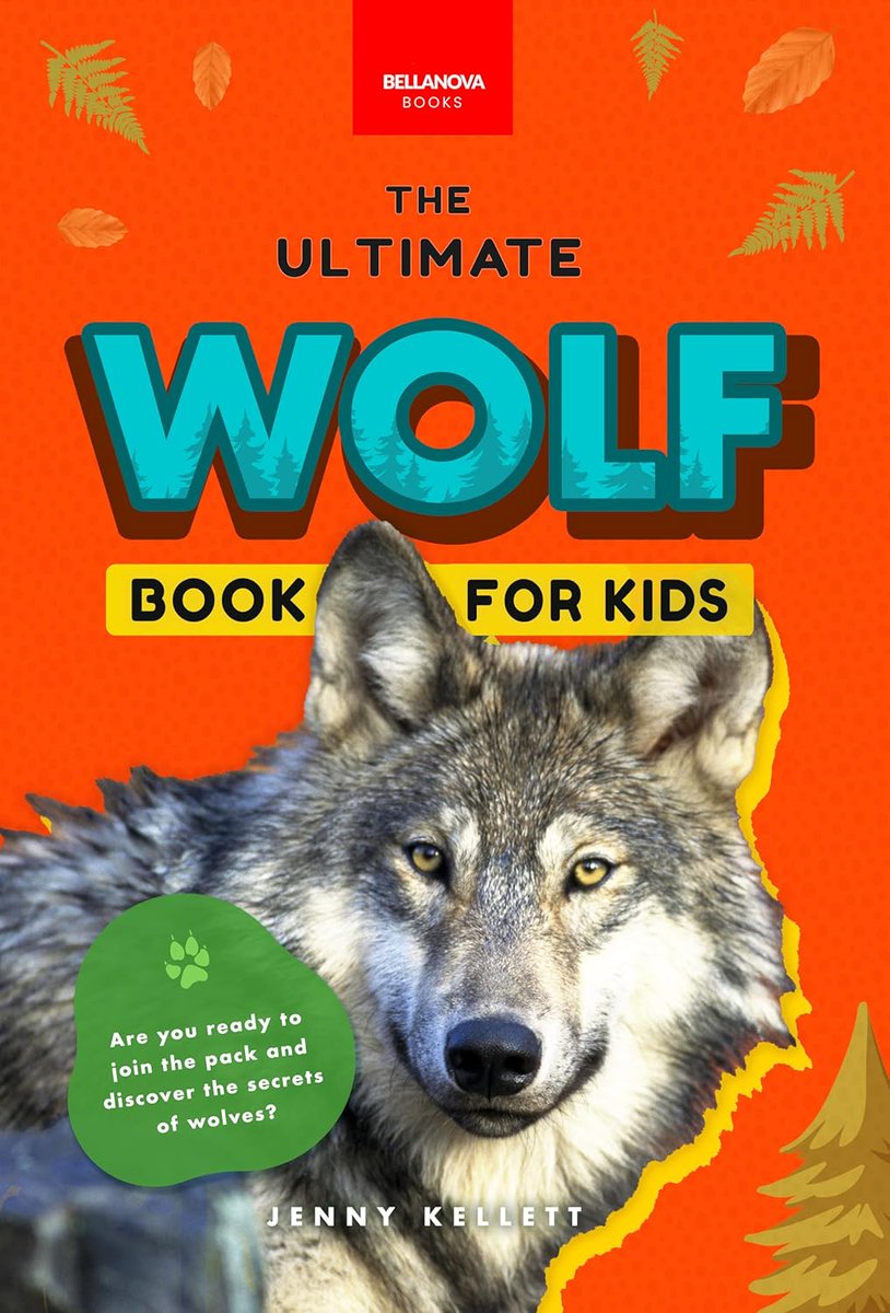 BookBongo tweet picture