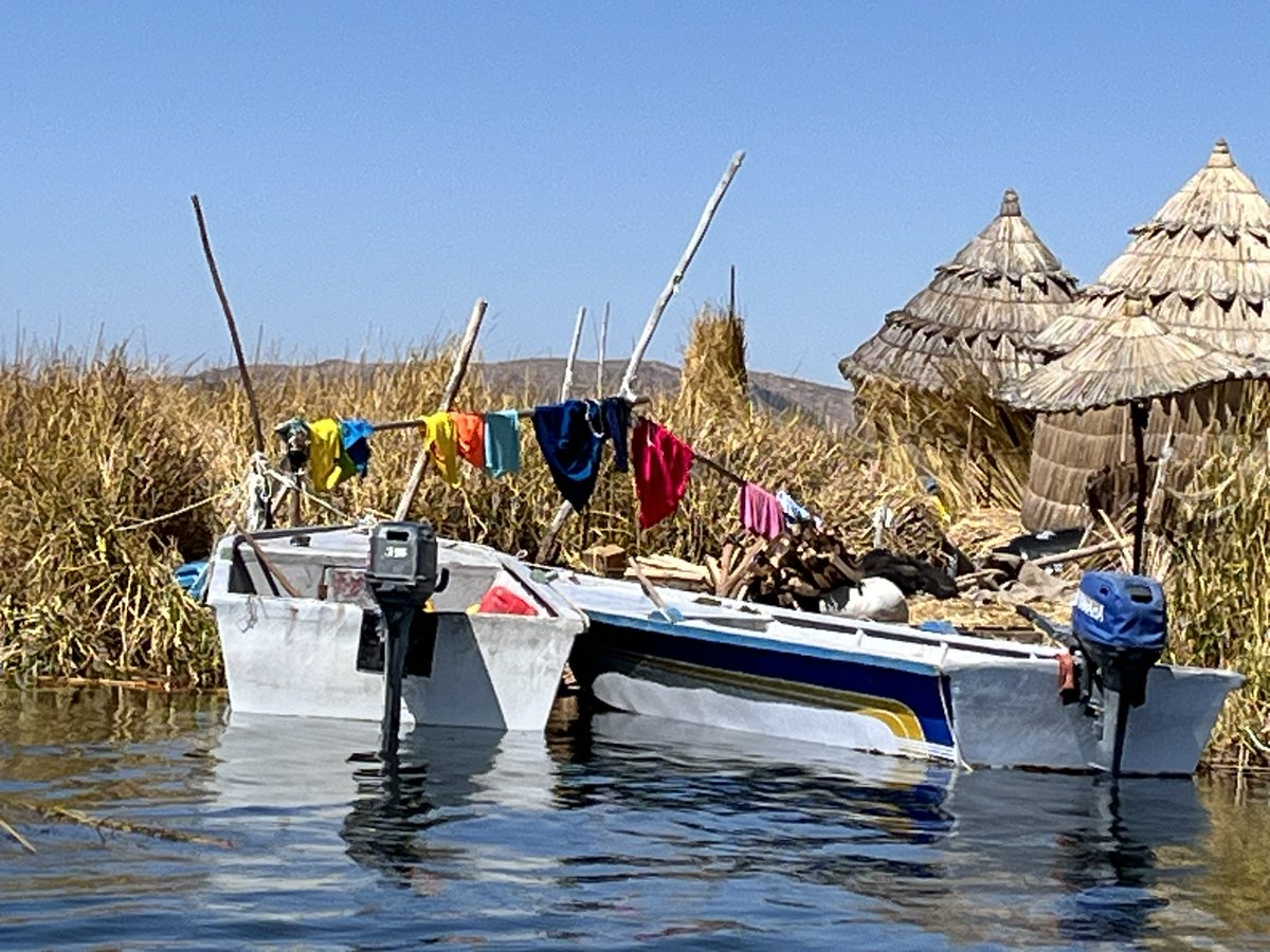Jane Ohlmeyer tweet media