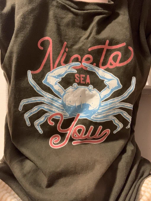 カニセーターは持っていませんが、友人が誕生日にカニTシャツをプレゼントしてくれました