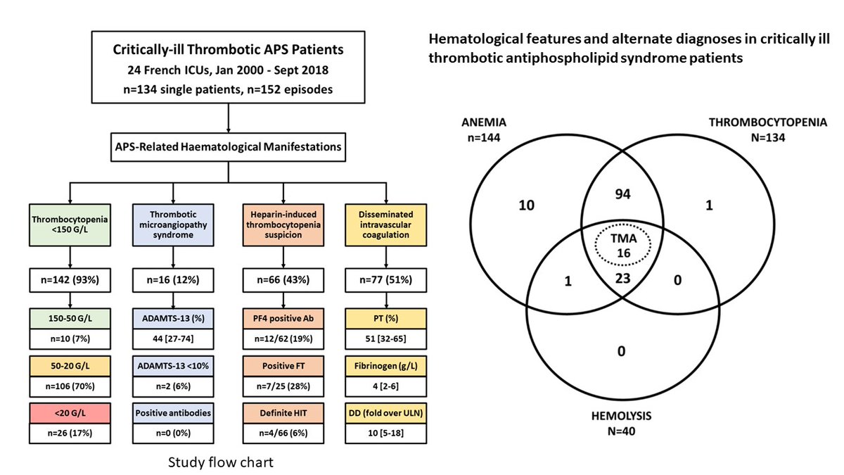 🔥Explore the latest findings on catastrophic #AntiphospholipidSyndrome in critically ill patients
👉rdcu.be/dPqg7
✅Thrombocytopenia is the hallmark laboratory finding 
✅A complete thrombotic microangiopathy pattern is infrequent
✅Alternate diagnoses of CAPS,