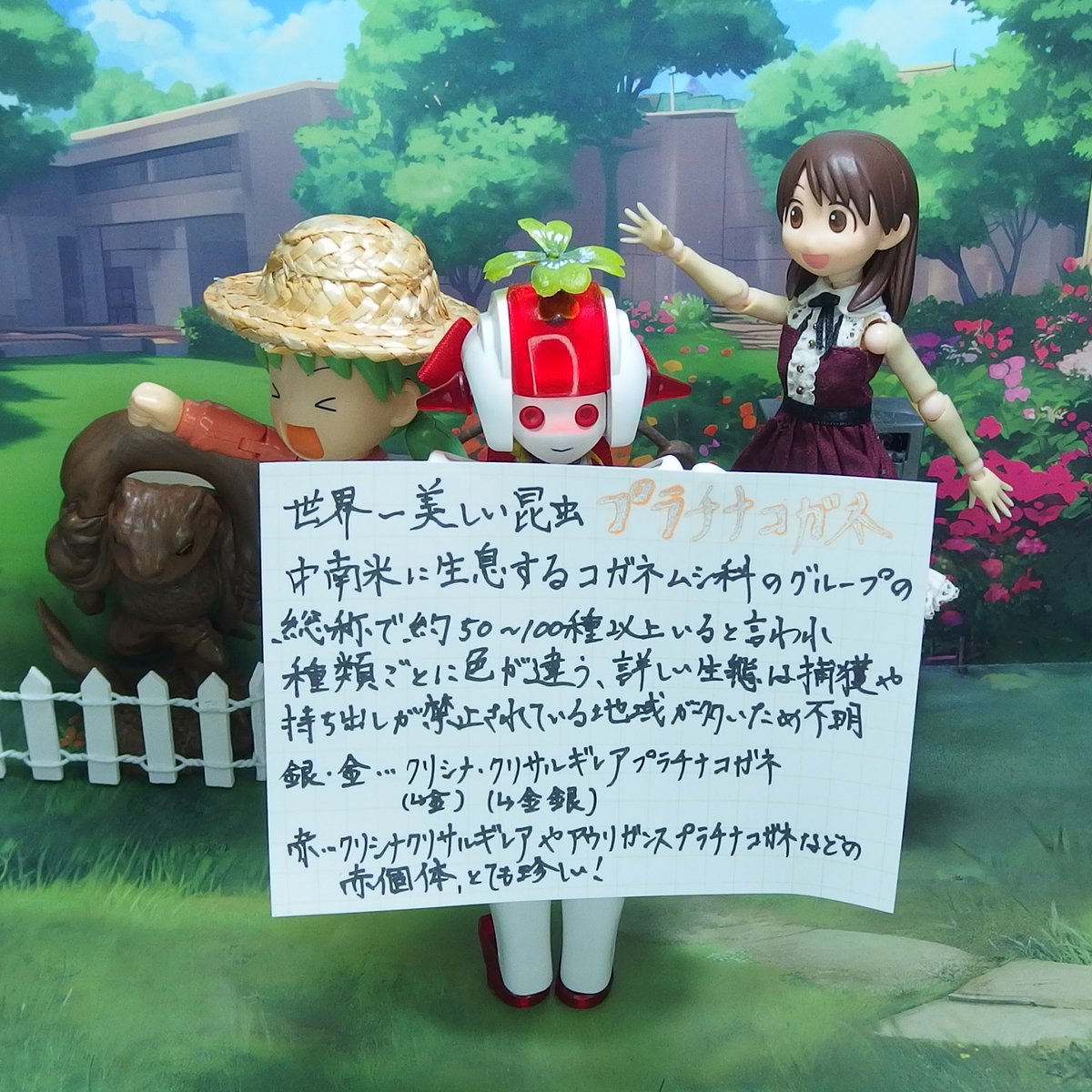 レア種　リンバータプラチナコガネ　標本　2匹 レア種 リンバータプラチナコガネ 標本 2匹 標本
