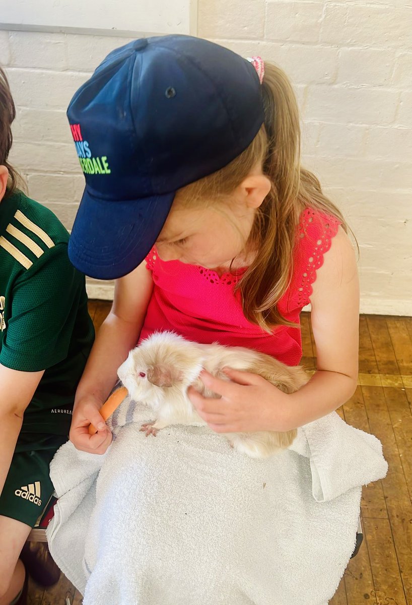 Try High Summer is a go go!! Our partnership with the brilliant <a href="/InvictusWbeing/">Invictus Wellbeing</a> sees us running a total of seven camps across four venues! 

Today the kids have had a go at squash. Plus got the chance to hold, pet and feed lots of mega cute creatures! 🐹

<a href="/HAFCalderdale/">Healthy Holidays Calderdale Programme</a> 
#haf24