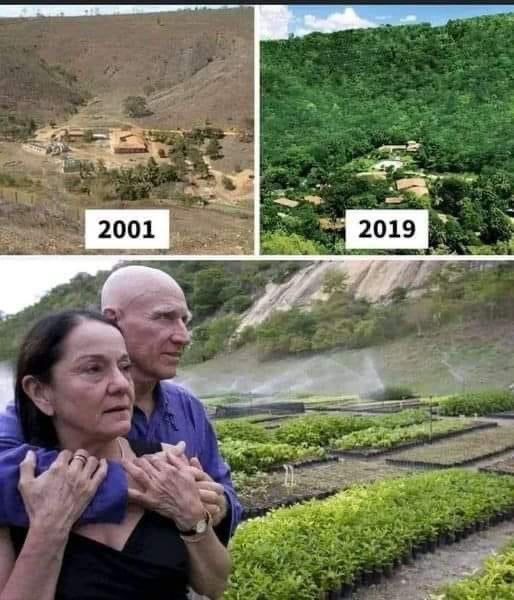 alextopol's tweet photo. In Brazil, this couple planted 2 million trees in 18 years, returning 172 bird species, 33 mammals, 15 amphibians, 15 reptiles and 293 plant species.

The whole world should know them. This is Lélia Wanick and Sebastião Salgado.

The couple decided to start the Terra Institute, https://t.co/NAU58OWRM2