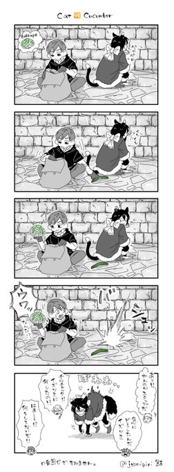 ダンジョン飯 🐈🆚🥒
猫の背後にキュウリを置いたらアカン! 