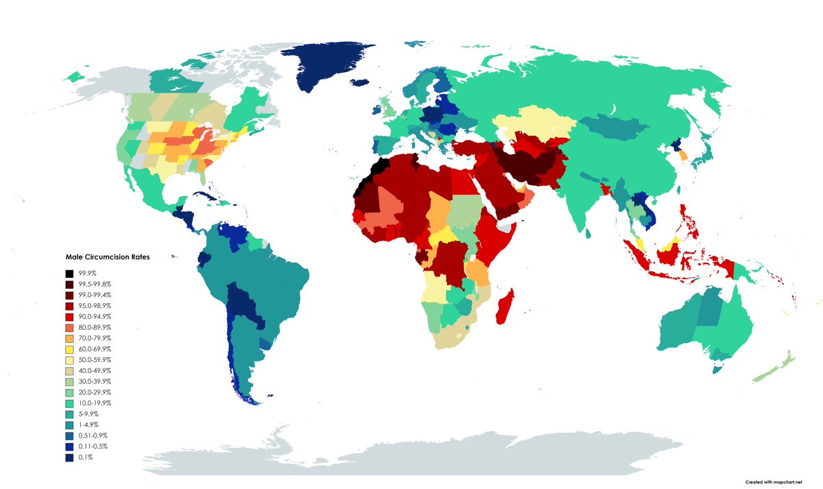 PhillAndry86's tweet image. Map of worldwide male "circumcision" (mutilation). Blue means little, red is a lot. The whole map should be dark blue.
#malecircumcsion #malegenitalmutilation #intactivism
