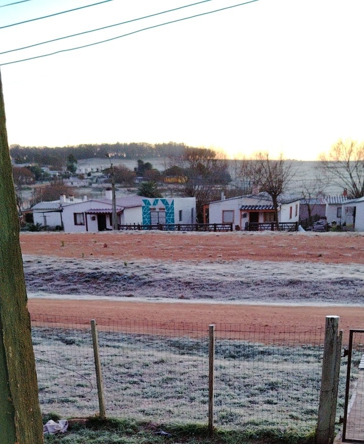 Linda helada!! Lo único blanco que se ve por estos tiempos